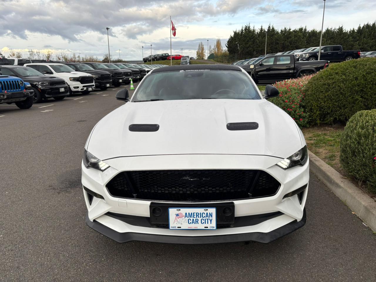 FORD MUSTANG GT Fastback V8 5.0L BVM