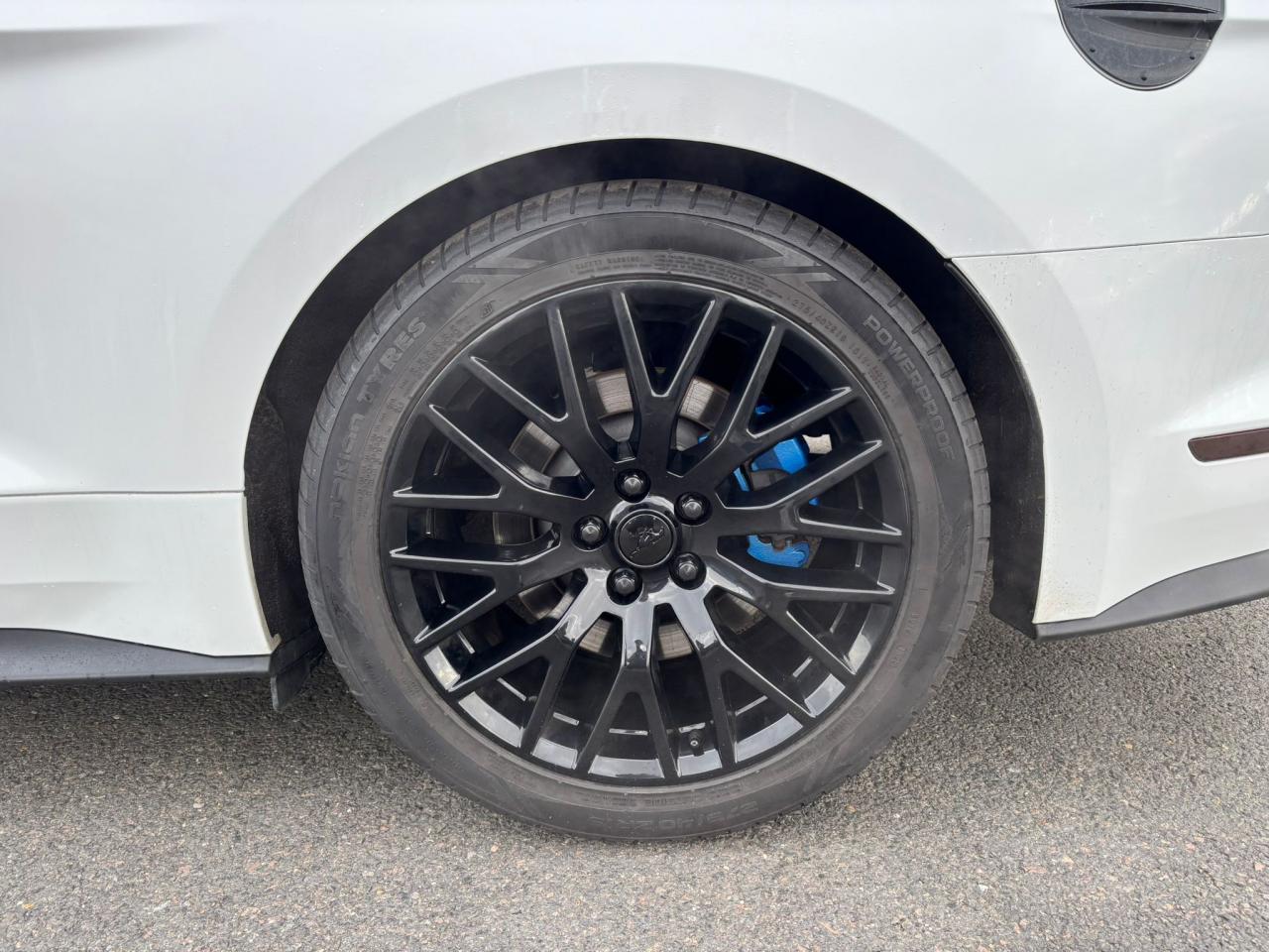 FORD MUSTANG GT Fastback V8 5.0L BVM