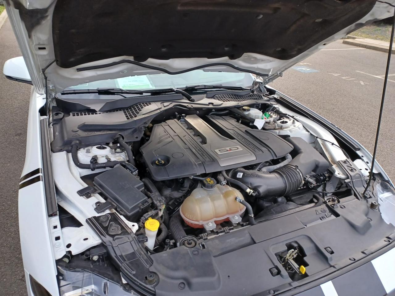 FORD MUSTANG GT Fastback V8 5.0L BVM