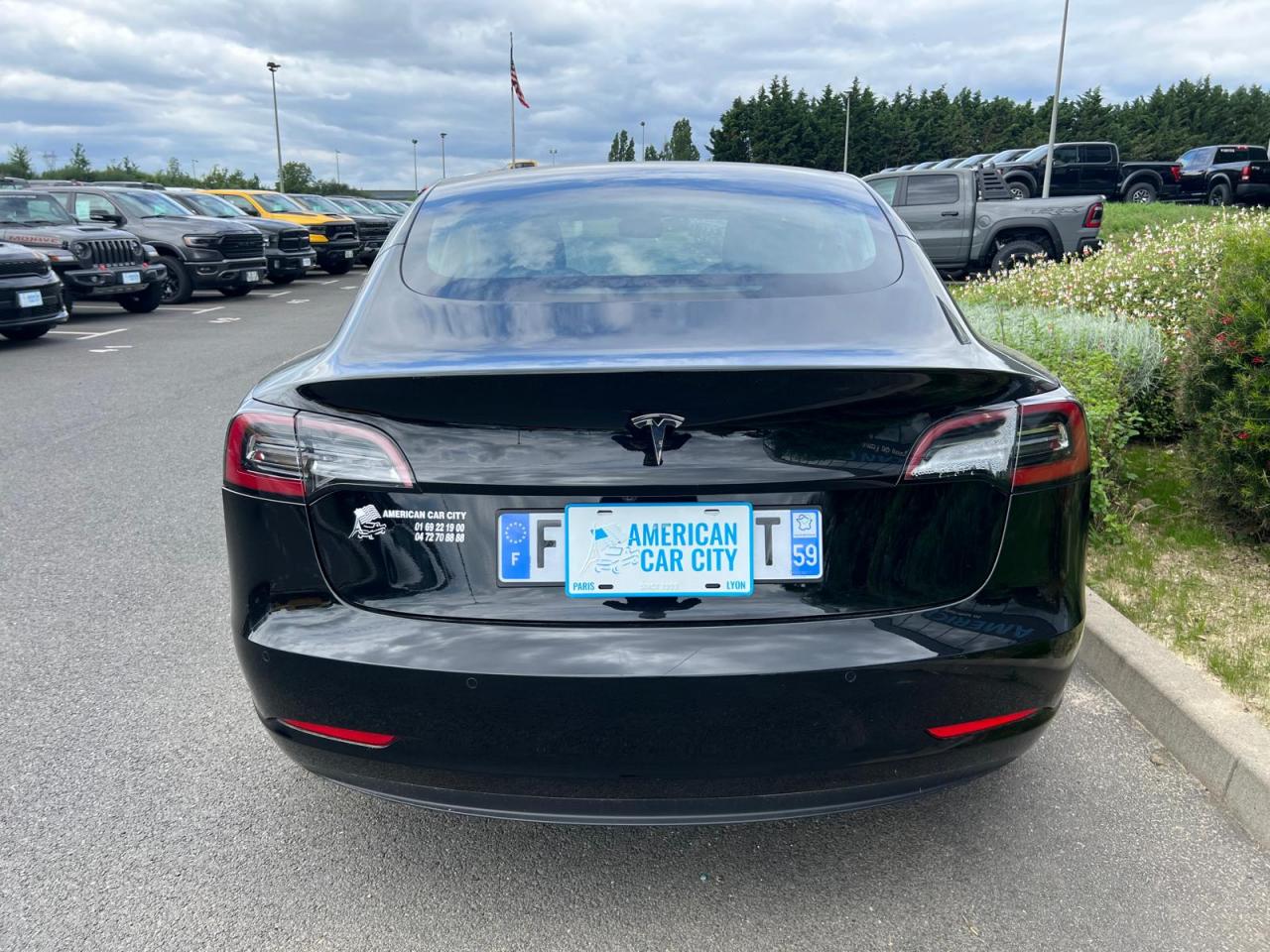 TESLA MODEL 3 Standard Plus RWD
