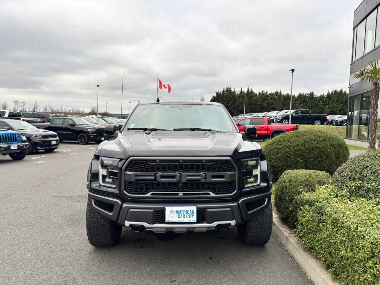 FORD F150 RAPTOR SUPERCREW V6 3,5L EcoBoost