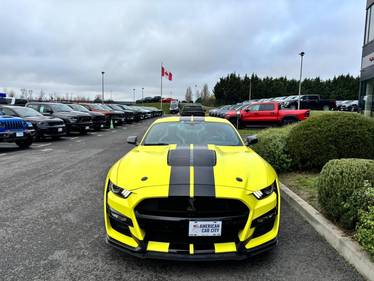 FORD MUSTANG Shelby GT500 V8 5.2L 760ch