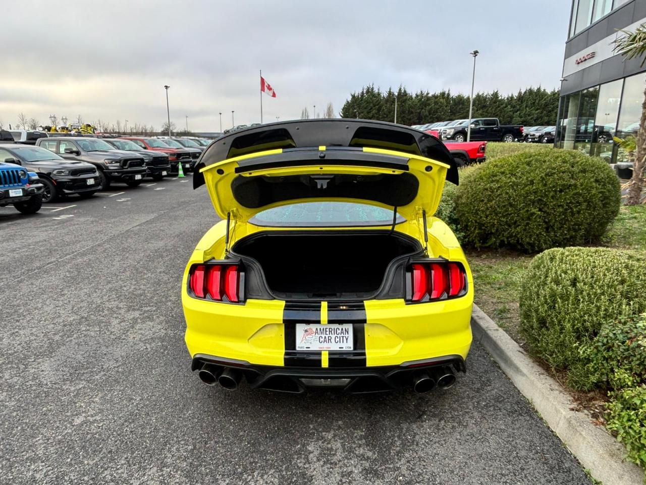 FORD MUSTANG Shelby GT500 V8 5.2L 760ch