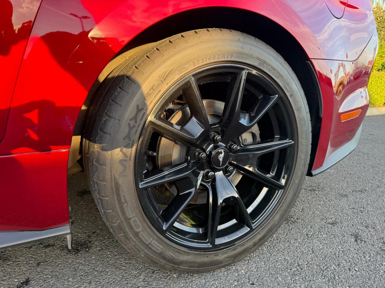 FORD MUSTANG GT FASTBACK PREMIUM V8 5.0L BVA