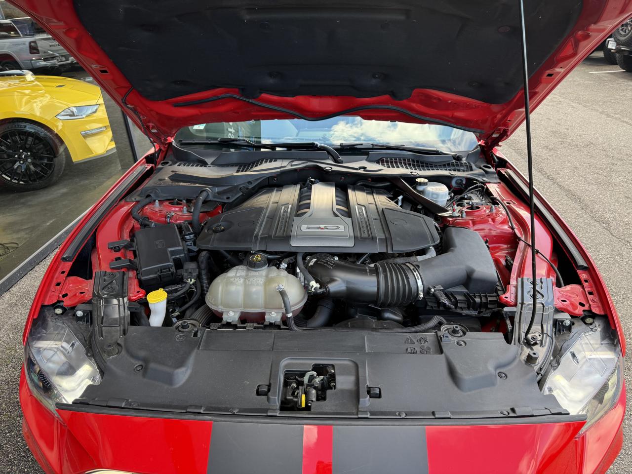 FORD MUSTANG GT FASTBACK 5.0L V8 BVM - Pas de malus