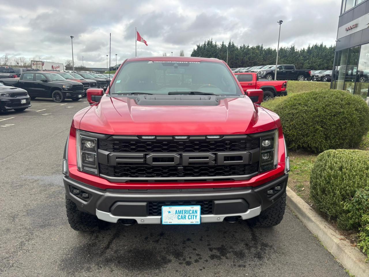 FORD RAPTOR Supercrew 4x4