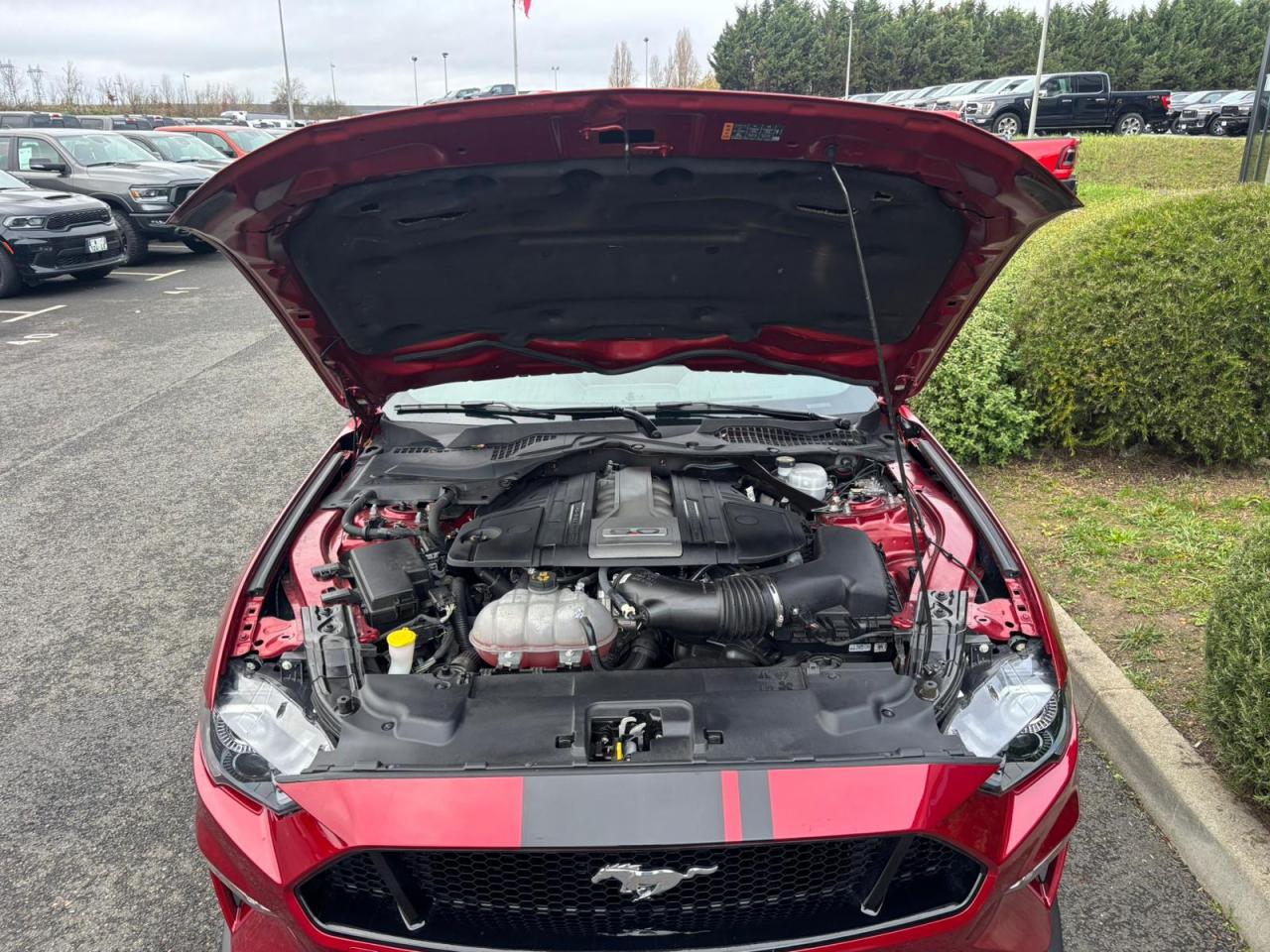 FORD MUSTANG GT Fastback V8 5.0L - Pas de malus