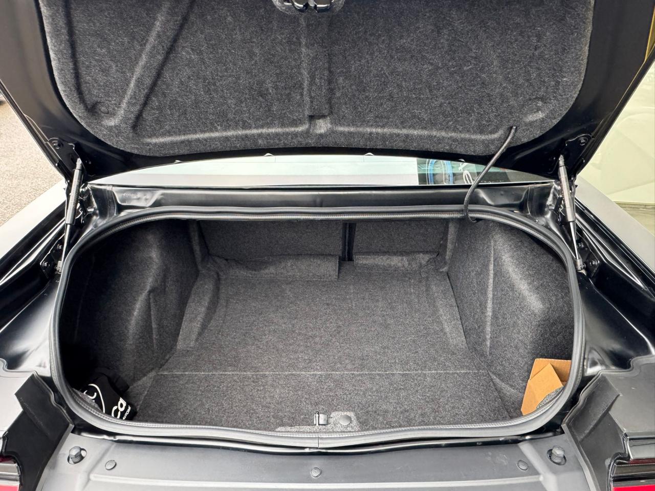 DODGE CHALLENGER SRT HELLCAT WIDEBODY