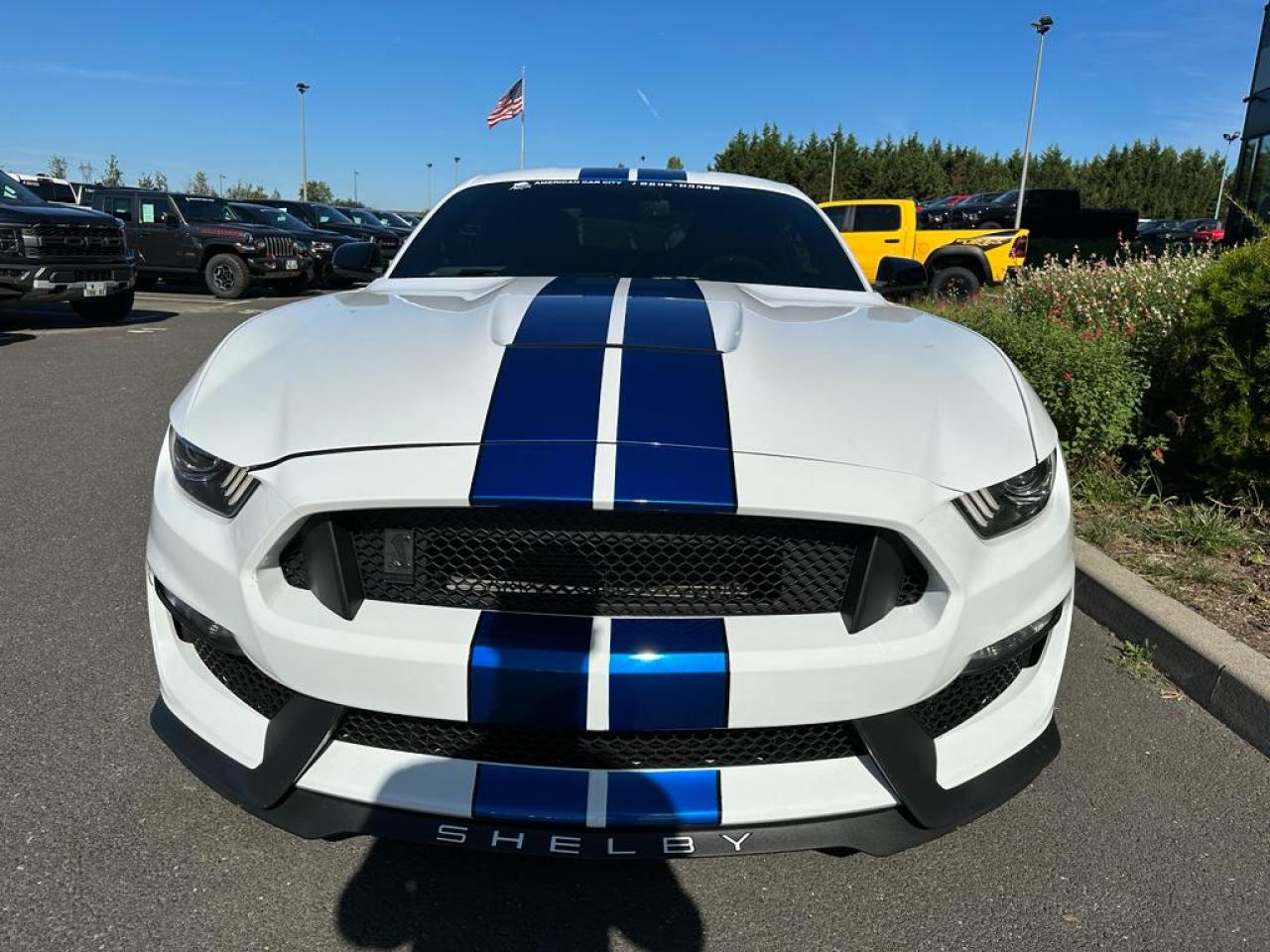 FORD MUSTANG Shelby GT350 V8 5.2L