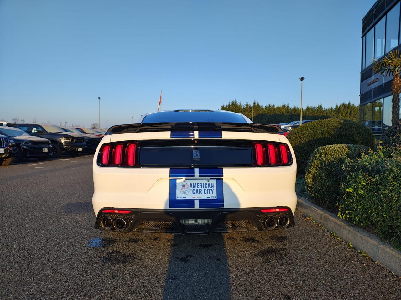 FORD MUSTANG Shelby GT350 V8 5.2L