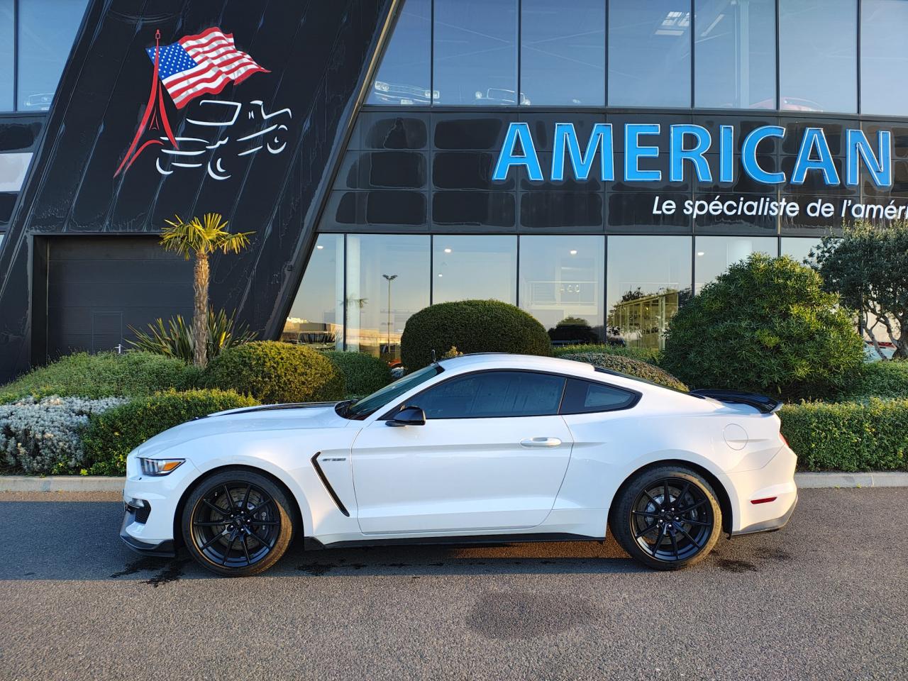 FORD MUSTANG Shelby GT350 V8 5.2L