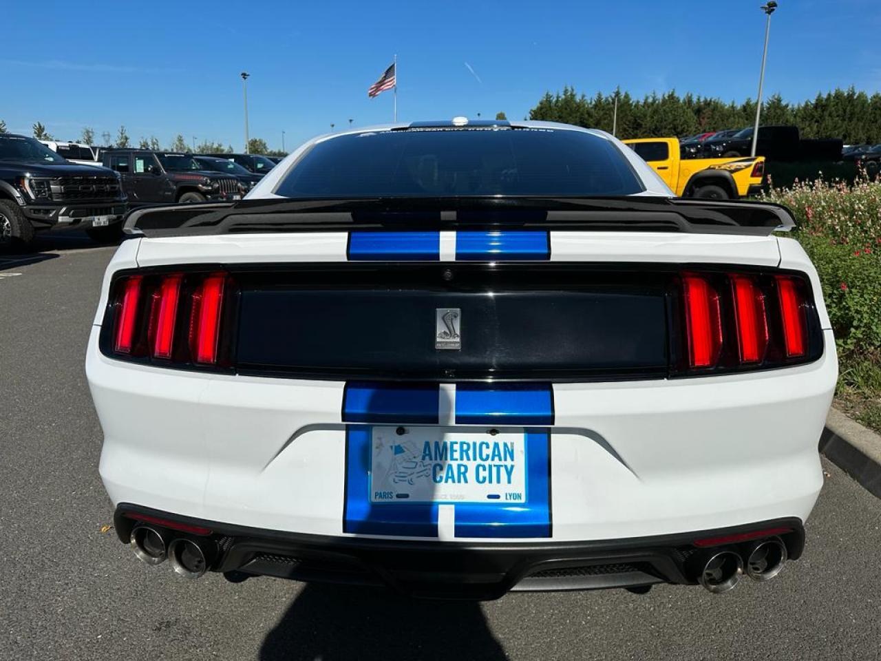 FORD MUSTANG Shelby GT350 V8 5.2L