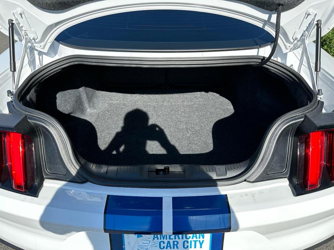 FORD MUSTANG Shelby GT350 V8 5.2L