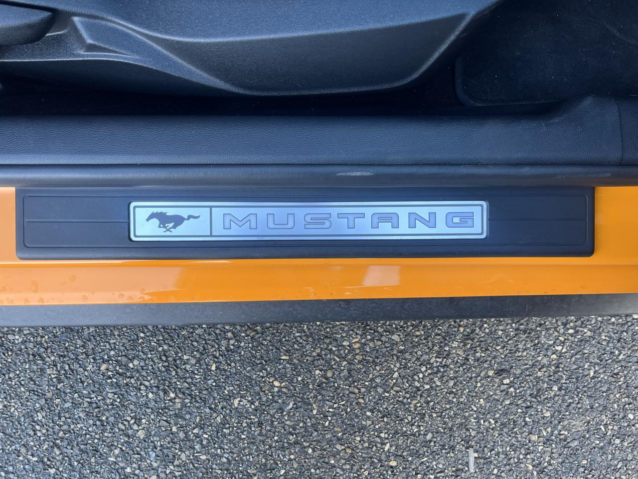 FORD MUSTANG GT FASTBACK 5.0L V8 450ch MAGNERIDE BVA10