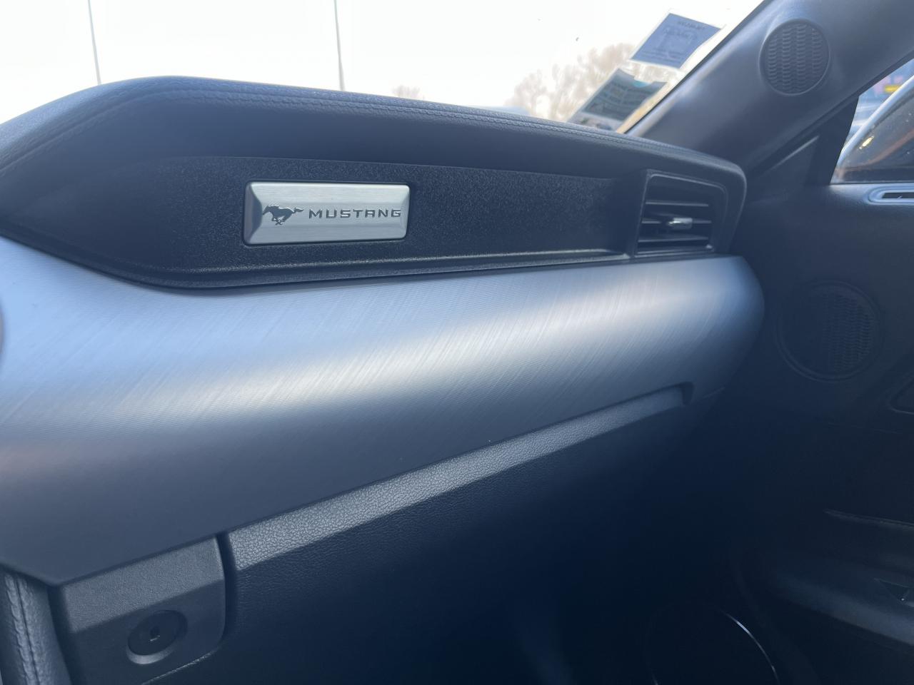 FORD MUSTANG GT FASTBACK 5.0L V8 450ch MAGNERIDE BVA10