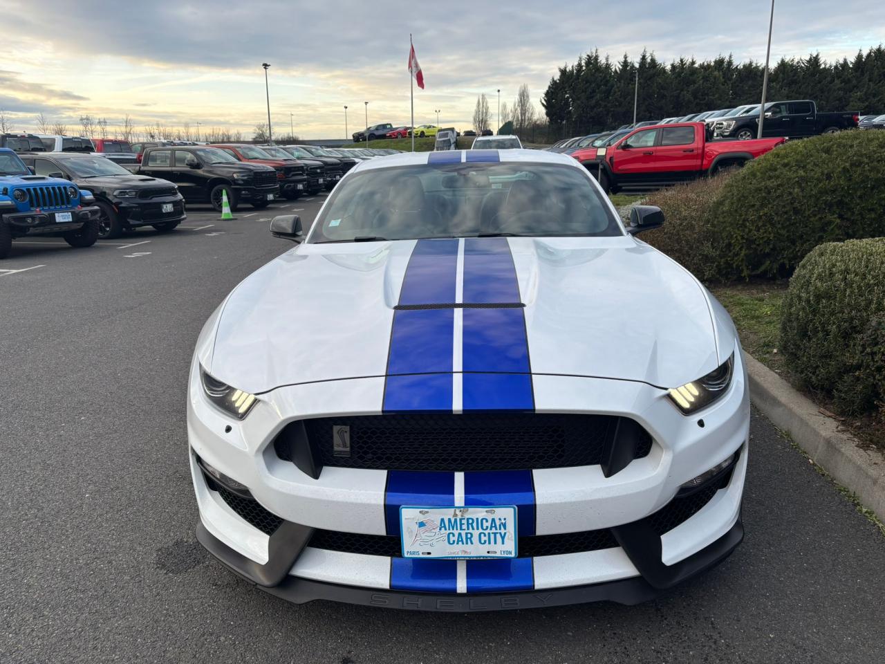 FORD MUSTANG Shelby GT350 V8 5.2L - MALUS PAYE