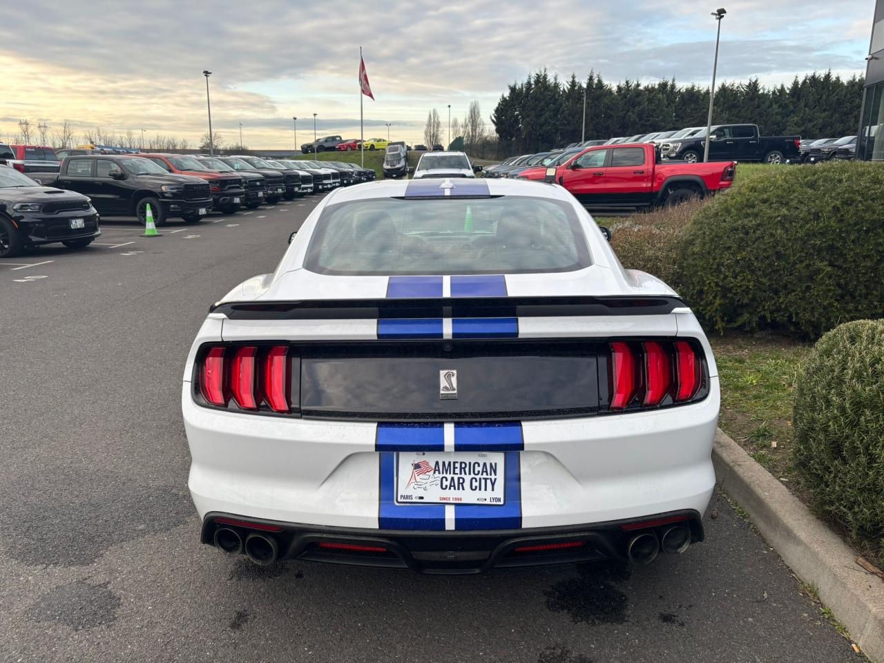 FORD MUSTANG Shelby GT350 V8 5.2L - MALUS PAYE