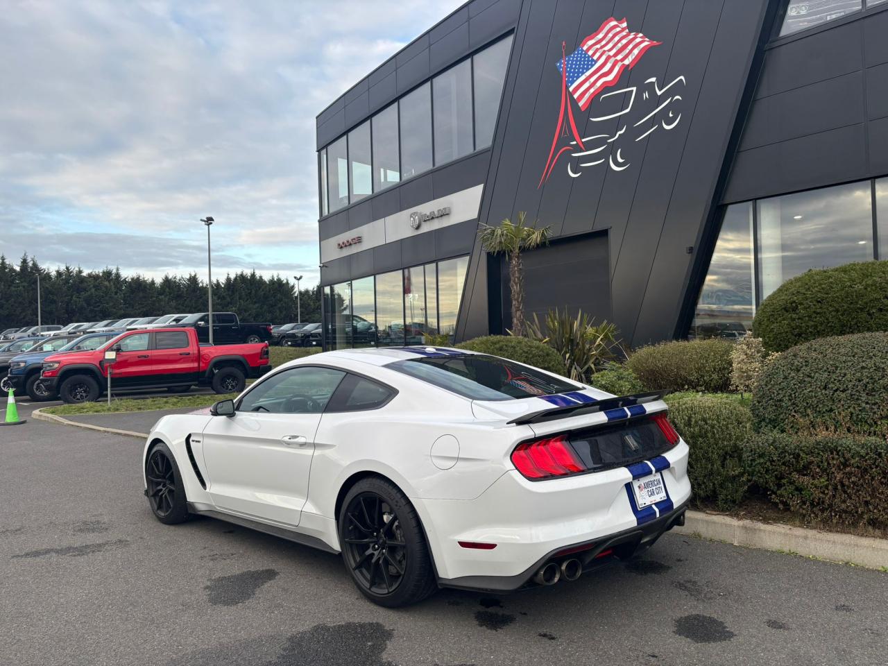 FORD MUSTANG Shelby GT350 V8 5.2L - MALUS PAYE