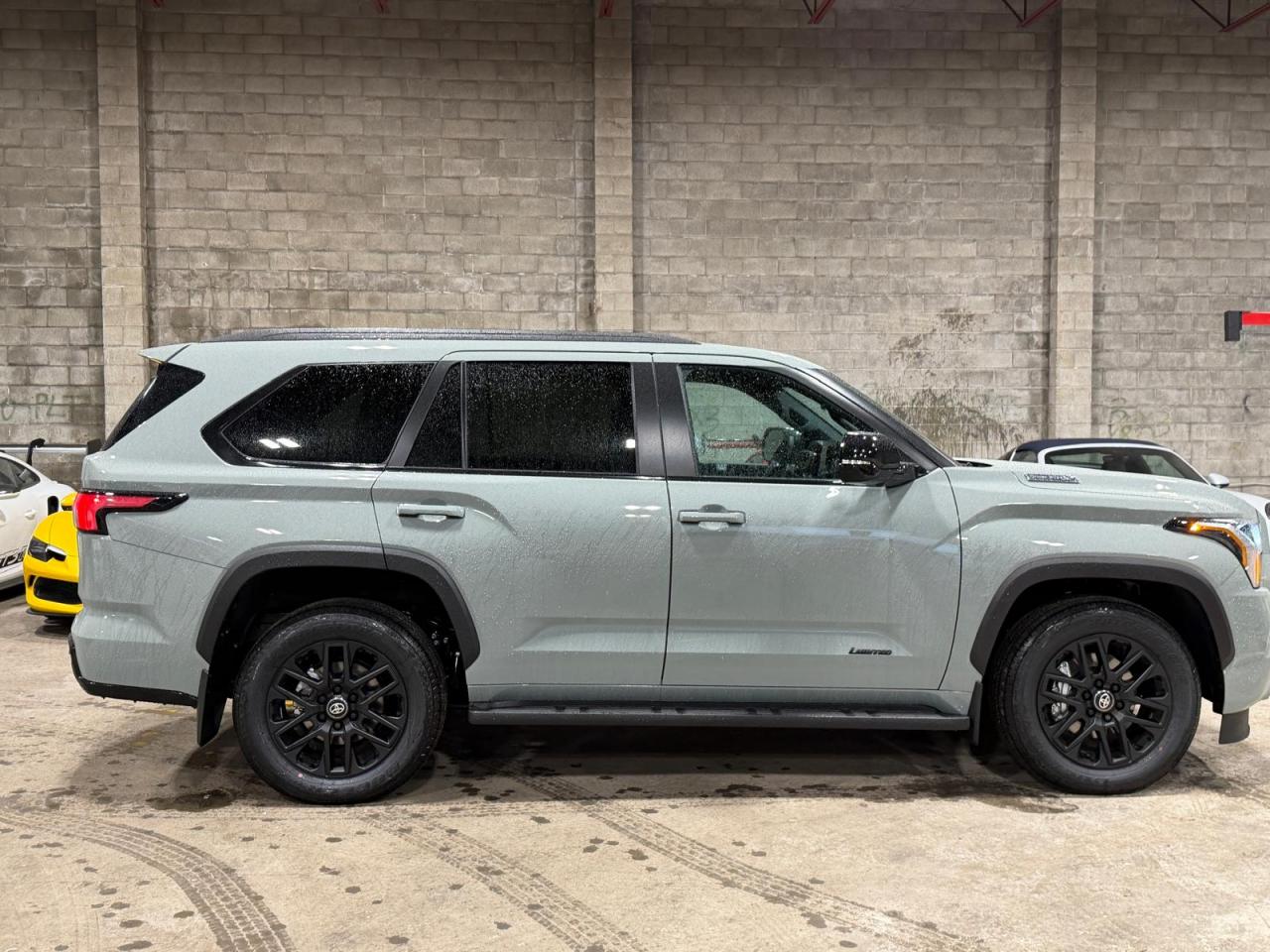 TOYOTA SEQUOIA LIMITED NIGHTSHADE EDITION HYBRID