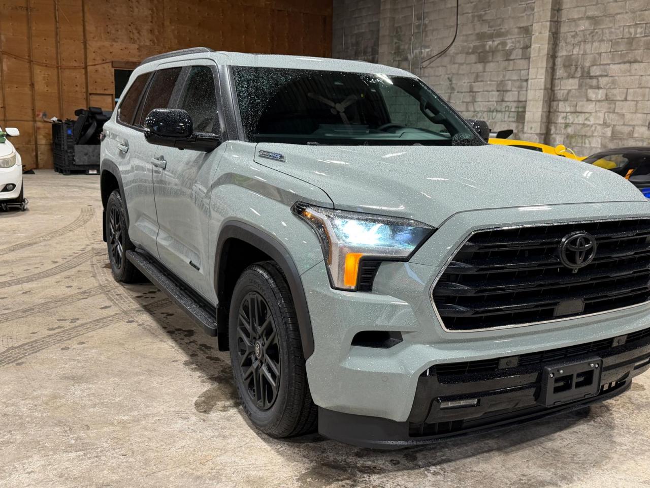 TOYOTA SEQUOIA LIMITED NIGHTSHADE EDITION HYBRID