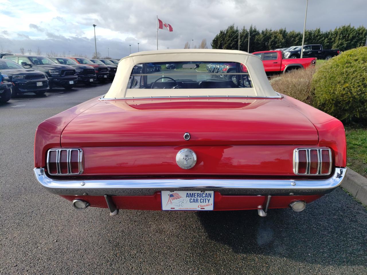 FORD MUSTANG 289 code C, disques, capote elec, boite auto