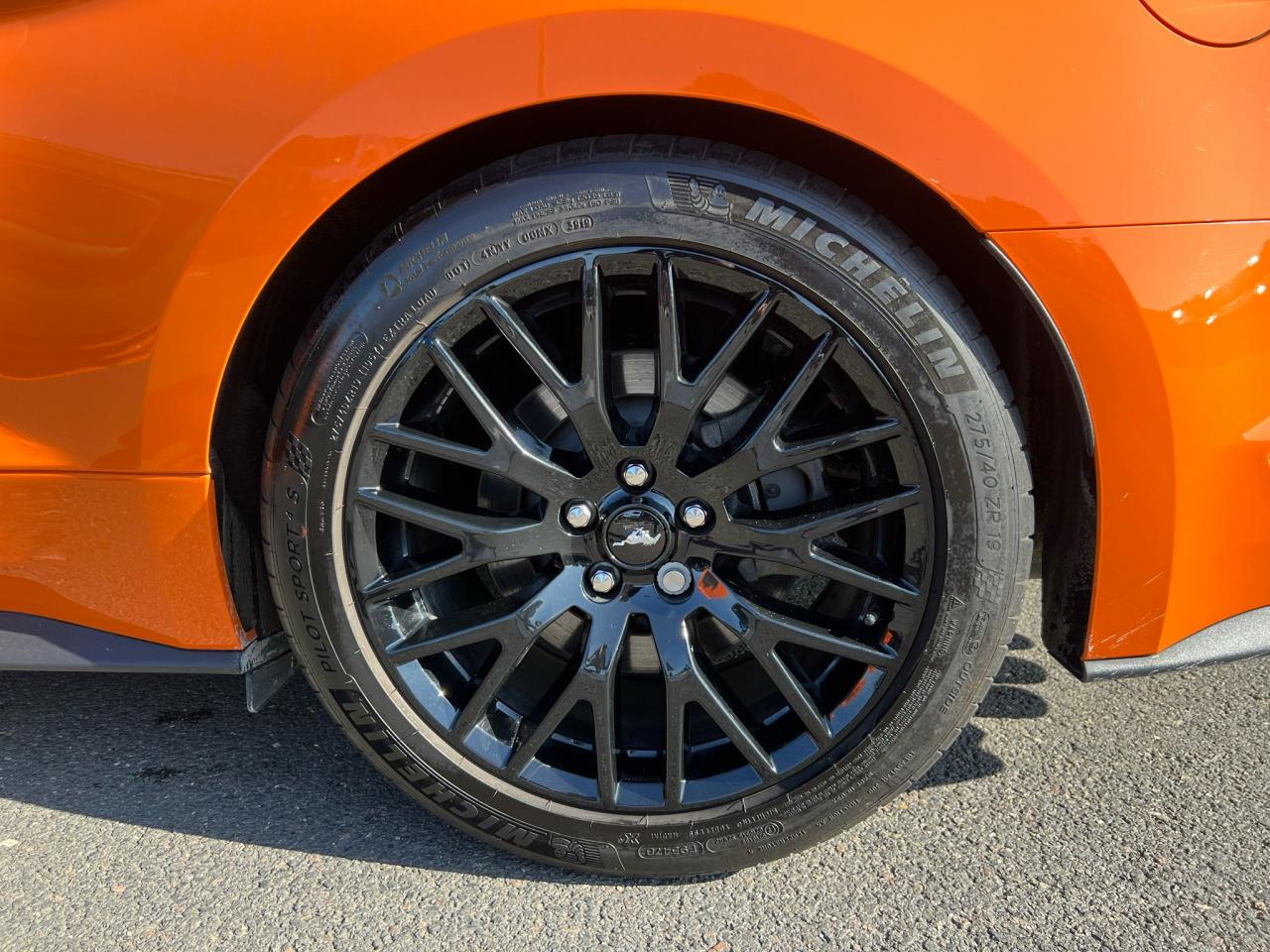 FORD MUSTANG GT FASTBACK 5.0L V8 450ch BVA10