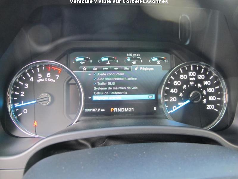FORD F150 SHELBY SUPER SNAKE V8 5.0L
