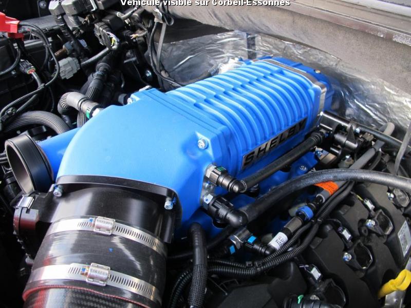 FORD F150 SHELBY SUPER SNAKE V8 5.0L