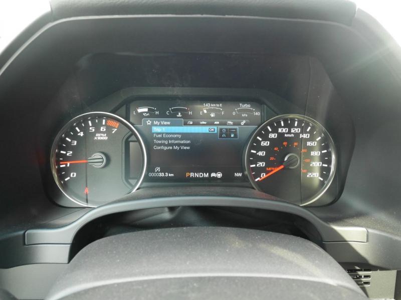 FORD F150 RAPTOR Supercrew 2019 - V6 3.5L 450CH