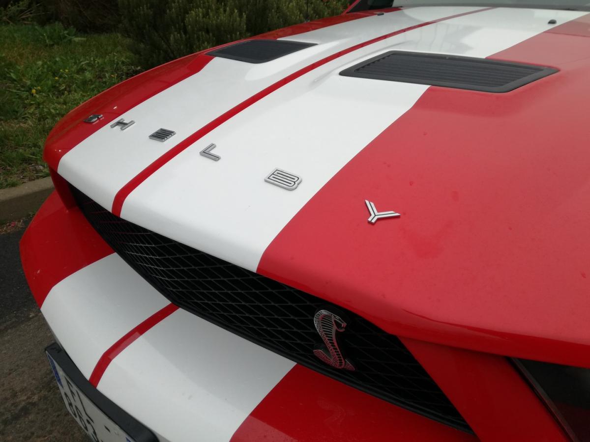 FORD MUSTANG Shelby gt500
