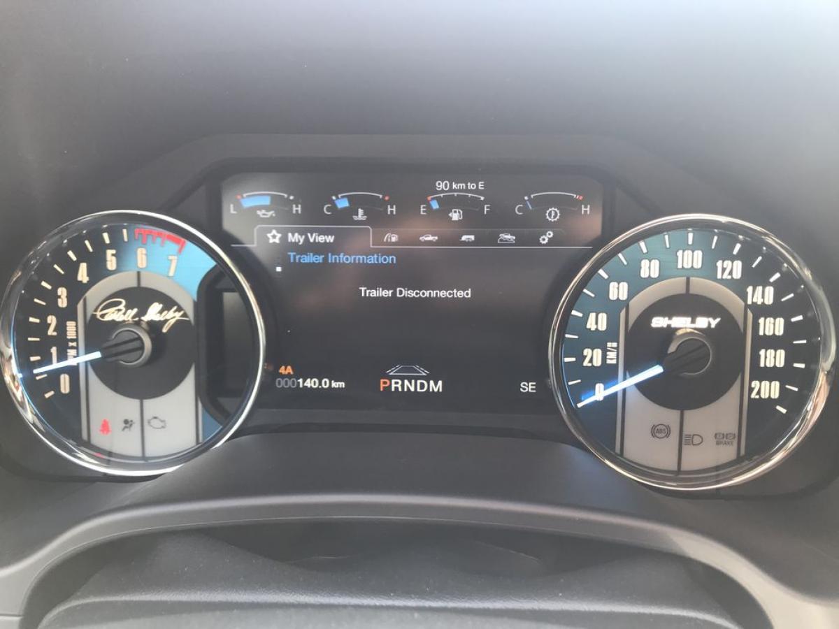 FORD F150 Shelby Offroad 2019